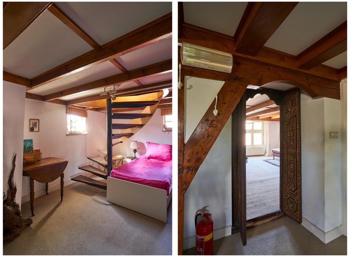 Huis Met De Leeuwenkoppen Dieren Exteriér fotografie
